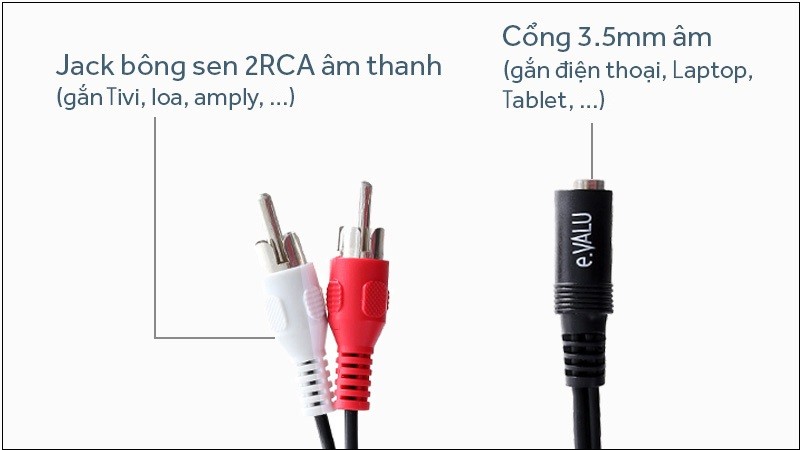 Các loại dây kết nối cần thiết để ghép nối mixer với loa kéo