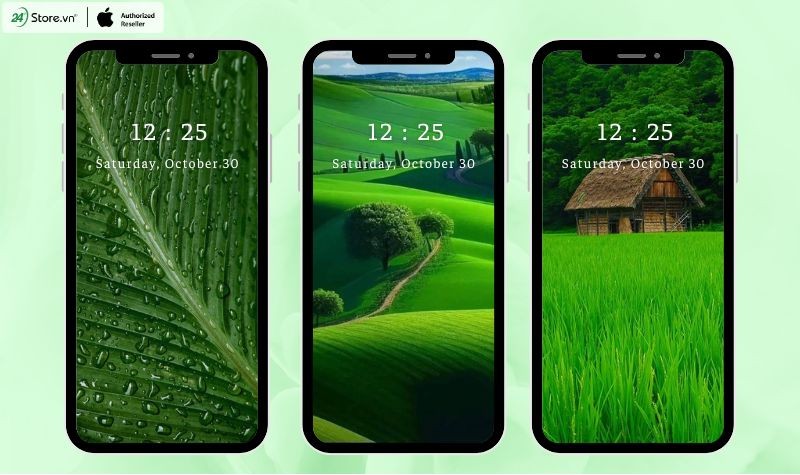 Cảnh rừng cây xanh mướt với ánh nắng xuyên qua lá