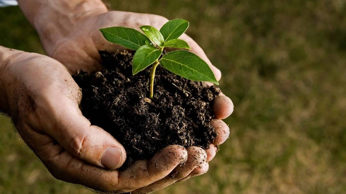 Hình nền may mắn cho người mệnh Thổ với gam màu đất ấm áp và bền bỉ