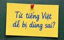 Nhiều loại thực phẩm khác nhau có thể chế biến trong lò vi sóng
